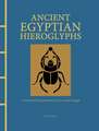 Ancient Egyptian Hieroglyphs Illustrated