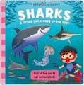 Priddy Explorers Sharks