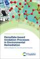 Persulfate-Based Oxidation Processes in Environmental Remediation