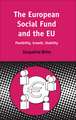 European Social Fund and the EU: Flexibility, Growth, Stability