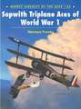 Sopwith Triplane Aces of World War 1: Jagdgeschwader NR I