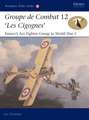 Groupe de Combat 12, 'Les Cigognes': France's Ace Fighter Group in World War 1