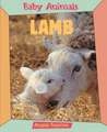 Lamb