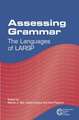 Assessing Grammar: The Languages of Larsp