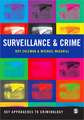 Surveillance and Crime