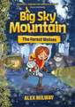 Big Sky Mountain