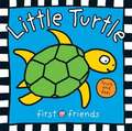 Priddy, R: Little Turtle