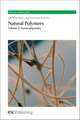 Natural Polymers: Nanocomposites