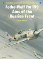 Focke-Wulf FW 190 Aces of the Russian Front