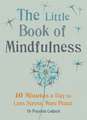 Little Book of Mindfulness: 10 Minutes a Day to Less Stress, More Peace