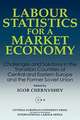 Labour Statistics for a Market Economy