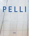 Cesar Pelli: Life in Architecture