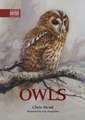 Owls