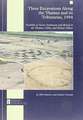 Three Excavations Along the Thames and Its Tributaries, 1994