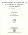 New Perspectives on Site Function and Scale of Cerro de Trincheras, Sonora, Mexico: The 1991 Surface Survey