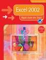 Excel 2002 Right from the Start