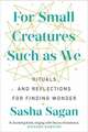 For Small Creatures Such As We: Rituals and reflections for finding wonder