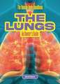 The Lungs