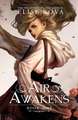 Air Awakens (Air Awakens Series Book 1)