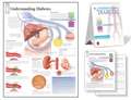 Understanding Diabetes Study Set