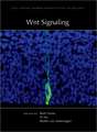 Wnt Signaling