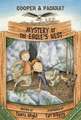 Mystery of the Eagle S Nest