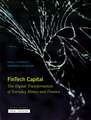 Fintech Capital