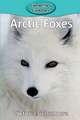 Arctic Foxes