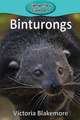 Binturongs