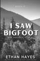 I Saw Bigfoot: Volume 4