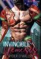 Invincible Nemesis