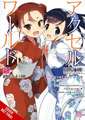 Accel World, Vol. 25 (Light Novel)