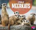 A Mob of Meerkats