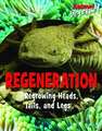 Regeneration: Regrowing Heads, Tails, and Legs