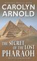 The Secret of the Lost Pharaoh