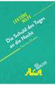 Die Schuld des Tages an die Nacht von Yasmina Khadra (Lektürehilfe)