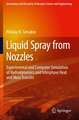 Liquid Spray from Nozzles: Experimental and Computer Simulation of Hydrodynamics and Interphase Heat and Mass Transfer