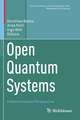 Open Quantum Systems: A Mathematical Perspective