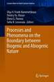 Processes and Phenomena on the Boundary Between Biogenic and Abiogenic Nature