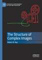 The Structure of Complex Images