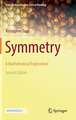 Symmetry: A Mathematical Exploration