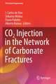 CO2 Injection in the Network of Carbonate Fractures