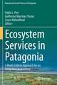 Ecosystem Services in Patagonia: A Multi-Criteria Approach for an Integrated Assessment