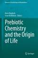 Prebiotic Chemistry and the Origin of Life