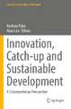 Innovation, Catch-up and Sustainable Development: A Schumpeterian Perspective