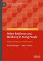 Online Resilience and Wellbeing in Young People: Representing the Youth Voice