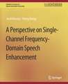 A Perspective on Single-Channel Frequency-Domain Speech Enhancement