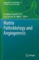 Matrix Pathobiology and Angiogenesis