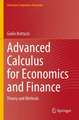 Advanced Calculus for Economics and Finance: Theory and Methods