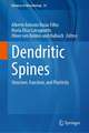 Dendritic Spines: Structure, Function, and Plasticity